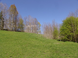 Image showing Summer landscape