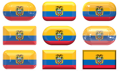 Image showing nine glass buttons of the Flag of Ecuador