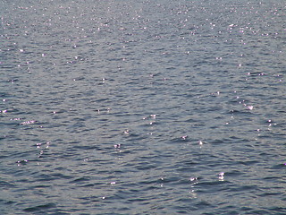 Image showing water