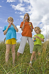 Image showing Childrem blowing bubbles