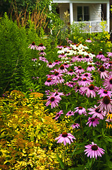 Image showing Residential garden landscaping