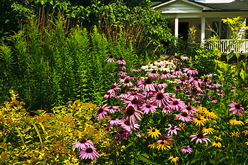 Image showing Residential garden landscaping