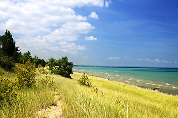 Image showing Sand dunes at beach