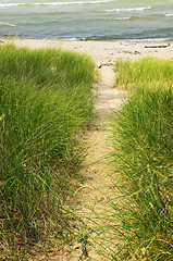 Image showing Path to beach