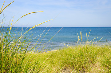 Image showing Sand dunes at beach