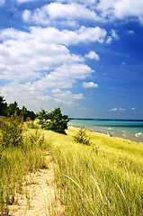 Image showing Sand dunes at beach