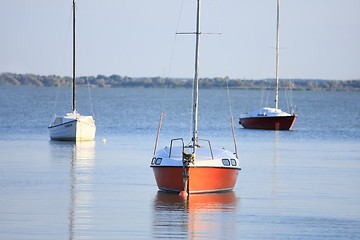 Image showing Sailboats