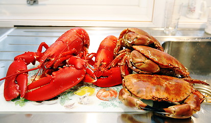 Image showing LOBSTER