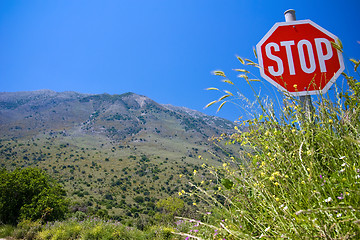 Image showing Stop invasion in the nature