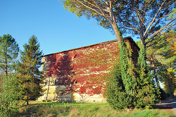 Image showing Tuscan landscape