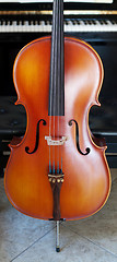 Image showing Cello panoramic view