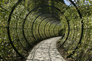 Image showing Decorative Walkway