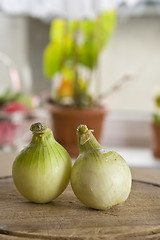 Image showing Vegetables in kitchen