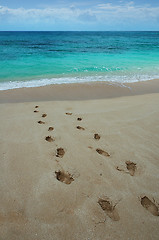 Image showing Footprints on a tropical beach.