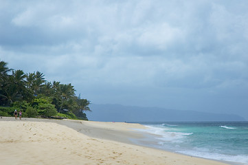 Image showing Hawaiian Beach