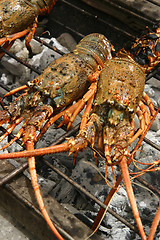 Image showing Lobster grill