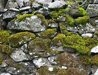 Image showing Mossy wall