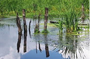 Image showing lake