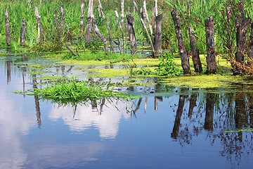 Image showing lake