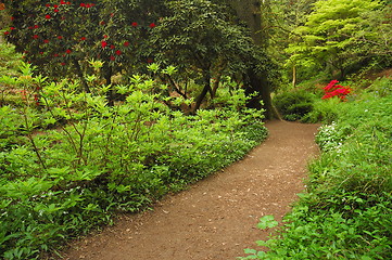 Image showing path in park