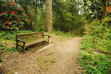 Image showing bench in park