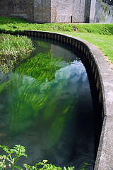 Image showing bute park