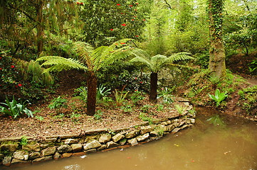 Image showing cardiff park