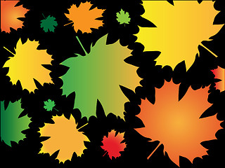 Image showing Background from autumn leaves