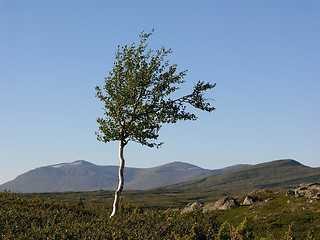 Image showing Mountain hike 7