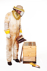 Image showing Beekeeper Smoking A Hive