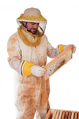 Image showing Inspecting The Honey