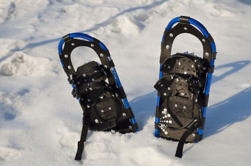 Image showing Snow rackets