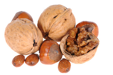 Image showing hazelnuts and walnuts