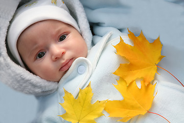 Image showing infant and autumn yellow maple leaf