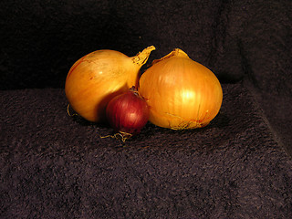 Image showing Onion 2