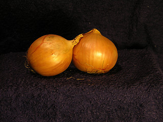 Image showing Onion 3