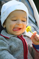 Image showing baby and flower, soft focus