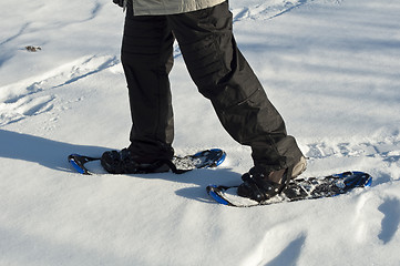 Image showing Walking on the snow.