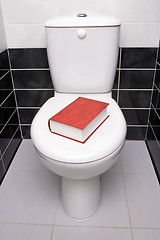 Image showing Toilet literature