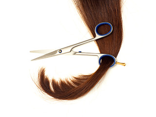 Image showing Hair in scissors ring