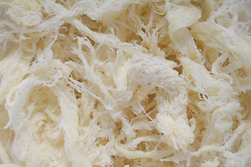 Image showing Dried squid meat