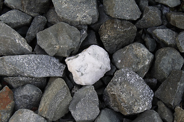 Image showing White stone among gray ones