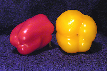 Image showing Paprika