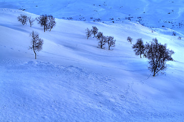 Image showing Snowy mountains