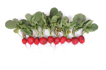 Image showing radishes