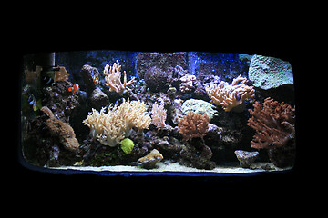 Image showing aquarium background