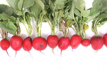 Image showing radishes