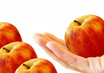 Image showing Red-yellow apple in hand