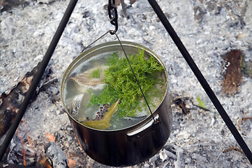 Image showing Fish soup in cooking pot