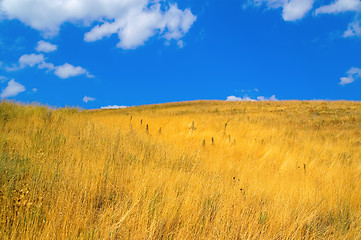 Image showing Steppe landscape